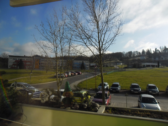 Winter? Januar 2012 