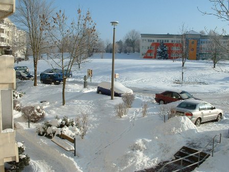 Winter 2010 - mit Sonenschein
