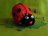 Marienkäfer - selbstgestrickt Marienkäfer - selbstgestrickt