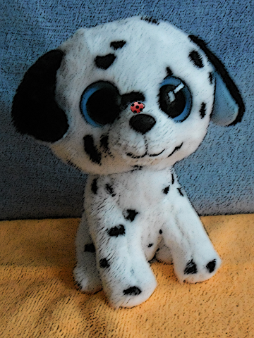 Boernie Boss - Cartoon Boernie Boss - Cartoon