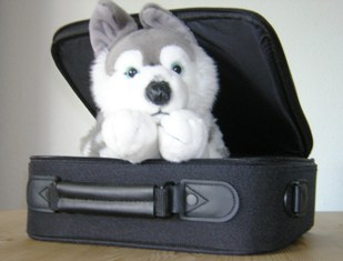 hund-auf-reisen.jpg