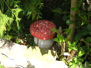 dicker Fliegenpilz