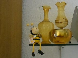 biene_sam_0181.jpg