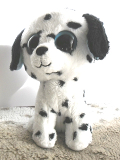 albi-boss-sam_0519a.jpg