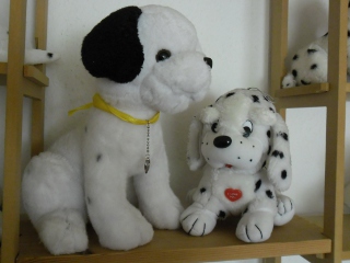 betty_lou_und_cilli_sam_0080.jpg