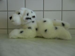schorsch_sam_0260.jpg