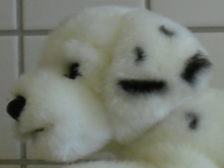 sepp_sam_0254b.jpg