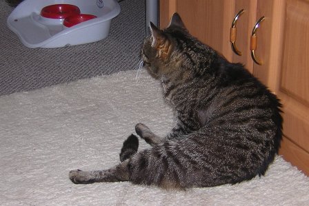 Minka - Hallo ich bin da Minka - Hallo ich bin da