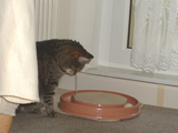 Minka mit dem neuen Spielzeug von Cindy