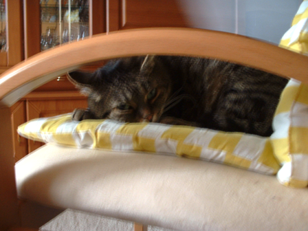 Minka oder eine Igel?