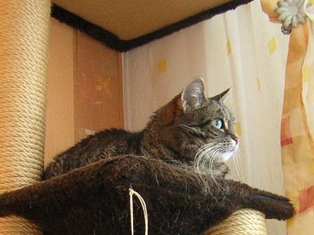 Minka - näher dran