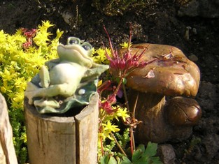 Pilz gefunden